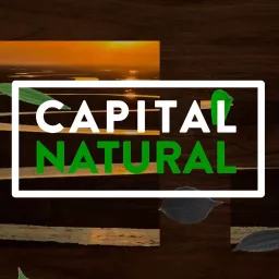 BandNews Capital Natural Podcast artwork