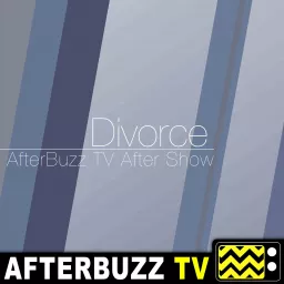 The Divorce Podcast artwork