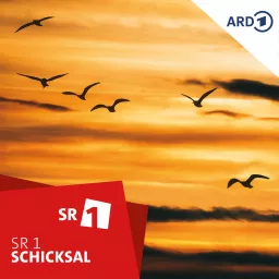 Schicksal - der SR 1-Podcast über das Leben artwork