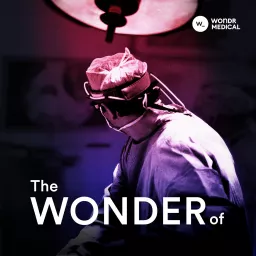 The Wonder of Podcast artwork