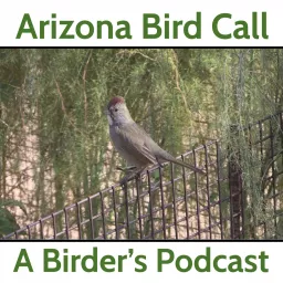 Arizona Bird Call Podcast artwork
