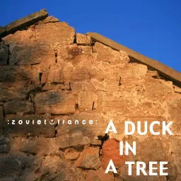 A Duck in a Tree Podcast artwork