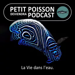 Petit Poisson deviendra Podcast