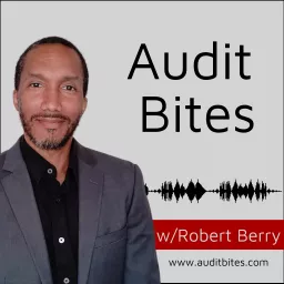 Audit Bites Podcast artwork