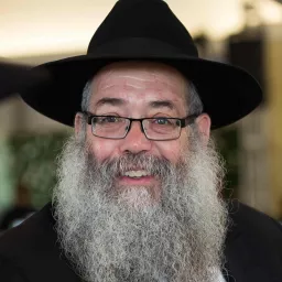The Rebbe’s advice - Rabbi Chaim Wolosow Podcast artwork