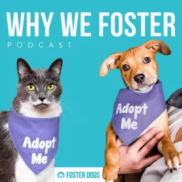 Why We Foster Podcast artwork