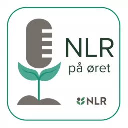 NLR på øret