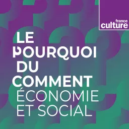 Le Pourquoi du comment : économie et social