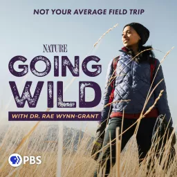 Going Wild with Dr. Rae Wynn-Grant Podcast artwork