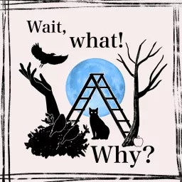 Wait, What! Why? Podcast artwork