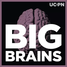 Big Brains Podcast artwork