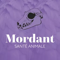 MORDANT Podcast artwork