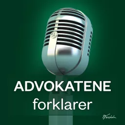 Advokatene forklarer