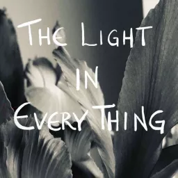 The Light in Every Thing Podcast artwork