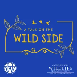 A Talk on the Wild Side Podcast artwork