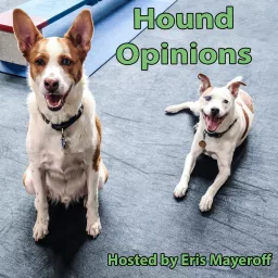 Hound Opinions