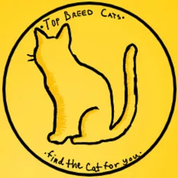 Top Breed cats Podcast artwork