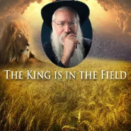 The King In The Field with Rabbi Manis Friedman Podcast artwork