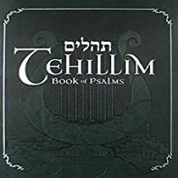 Tehillim (Psalms) Series with Rabbi Yosef Mitzrachi Podcast artwork