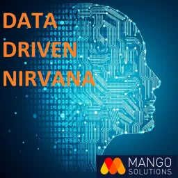 Data Driven Nirvana Podcast artwork