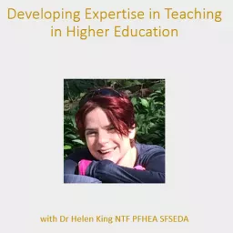 Developing Expertise in Teaching in Higher Education Podcast artwork