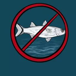 The No Wet Fish Podcast artwork