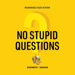 No Stupid Questions Podcast artwork