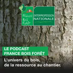France Bois Forêt, l'univers du bois, de la ressource au chantier Podcast artwork