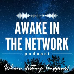 Awake in the Network: Where Destiny Happens! Podcast artwork