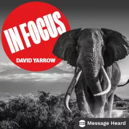 In Focus with David Yarrow Podcast artwork