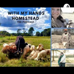 With My Hands Homestead - The Best Year Ever Podcast artwork