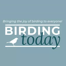 The Birding Today Podcast artwork