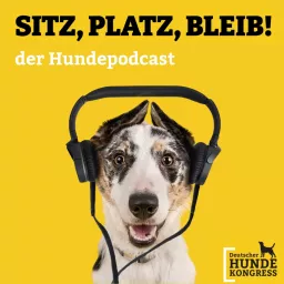 Sitz! Platz! Bleib! - der Hundepodcast artwork