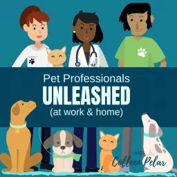 UNLEASHED (at work & home) with Colleen Pelar Podcast artwork