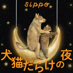 犬猫だらけの夜 -sippo channel- Podcast artwork
