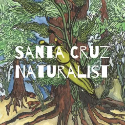 Santa Cruz Naturalist Podcast artwork