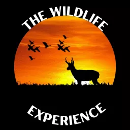 The Wildlife Experience Podcast artwork