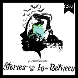 Stories From The In Between Podcast artwork