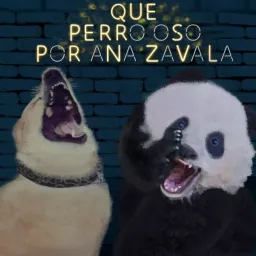 Que Perro Oso Podcast artwork