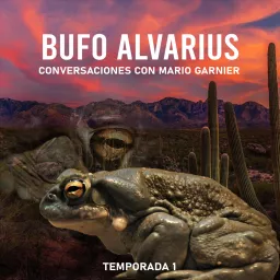 Bufo Alvarius con Mario Garnier Podcast artwork