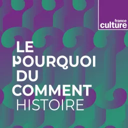 Le Pourquoi du comment : histoire