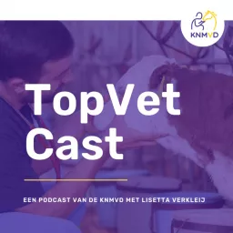 TopVetCast Podcast artwork