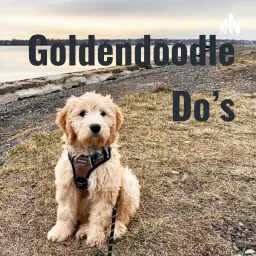Goldendoodle Tips & Tricks Podcast artwork