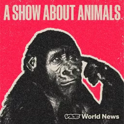 A Show About Animals Podcast artwork