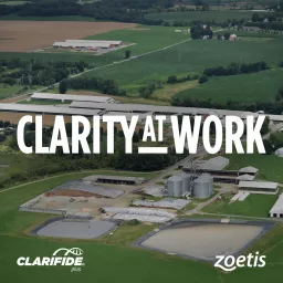 Clarity At Work: Building A Herd For Tomorrow