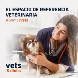 Formación Veterinaria. Podcast artwork