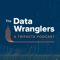 The Data Wranglers Podcast artwork