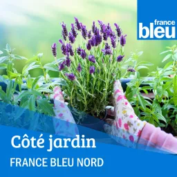 Les spécialistes du jardin avec France Bleu Nord