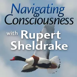 Navigating Consciousness with Rupert Sheldrake Podcast artwork