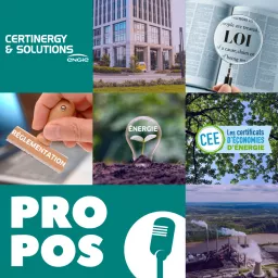 ProPos, le rendez-vous réglementation, CEE et énergie ! Podcast artwork
